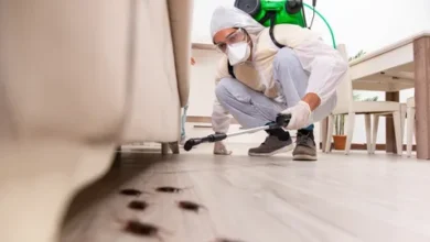 مكافحة حشرات بحائل